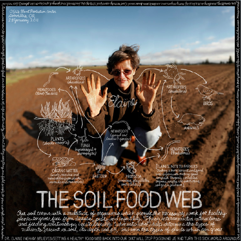 Soil Food Web Inc.
